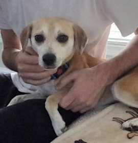 Photo of Winnie Waldron