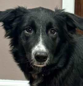 Photo of Livvy (Baby)