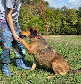 Photo of BeBe ~ meet me!