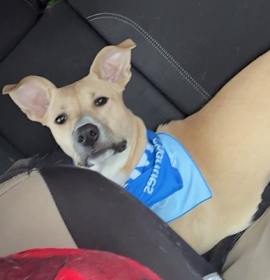 Photo of Oogie Boogie Bash