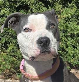 Mysterious Ms Marley Moon ~ Soulful ! photo 1