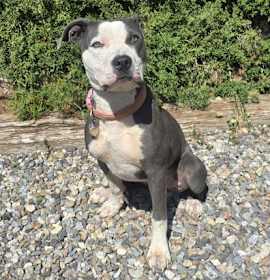 Mysterious Ms Marley Moon ~ Soulful ! photo 2