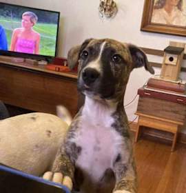 Photo of Hugh   (2025)