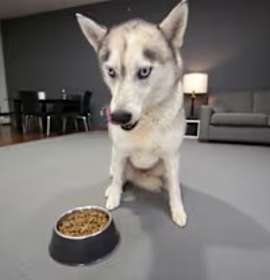 Solomon SOS List photo 3