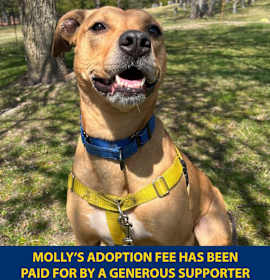 Photo of Molly