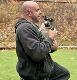 Mickey (Bonded with Scooter) photo 2