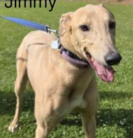 Photo of Jimmy (Jimmy Bale)