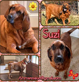 Photo of Suzi