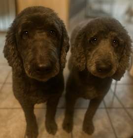 Photo of Naveen and Jasmine