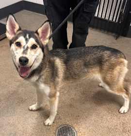 Emma XVIII 149 photo 1