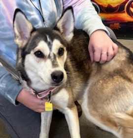 Emma XVIII 149 photo 3