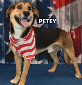 Photo of Petey