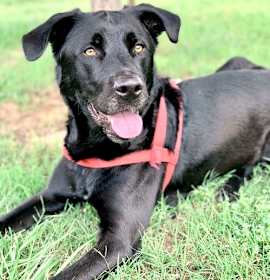 Photo of Maxwell May 22