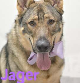 Photo of Jager