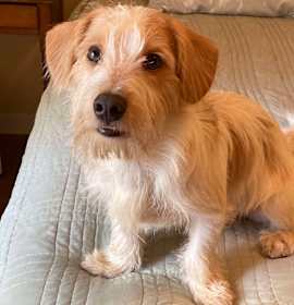 Photo of Fred Murphy