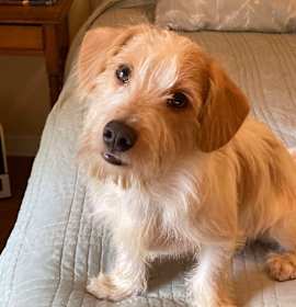 Photo of Fred Murphy