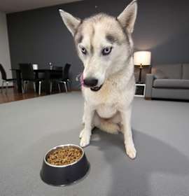 Solomon SOS List photo 3