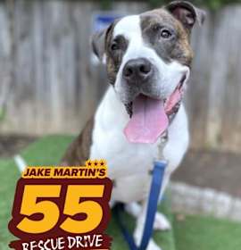 Photo of Pinky Promise