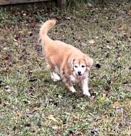 Photo of Spring spring