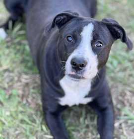 Photo of TRINITY/URGENT