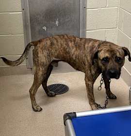 Photo of 22792 - Lincoln