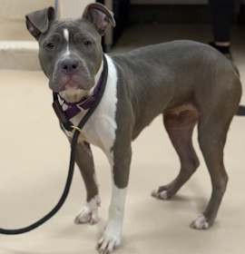 Photo of Delada (Leawood)