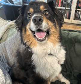 Photo of Asher Samuel