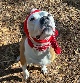 Photo of Peter "the pit" Parker (I Have a Secret Crush!)