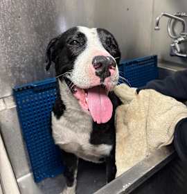 Photo of Eddie Brock