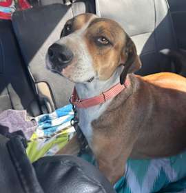 Photo of Mary Jane "MJ"