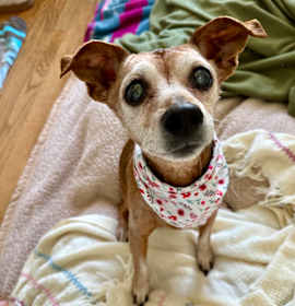 Photo of Chugga Chugga