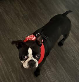 Photo of Stanley Garner KY4813