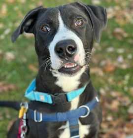 Johnny Cash II 23 photo 1