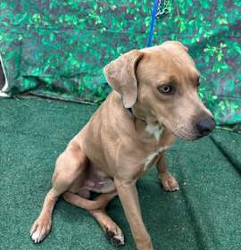 Photo of Sly K20 11/20/25