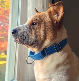 Photo of Eye of the Beholder