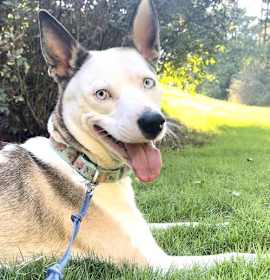 Kacy - Happy Go Lucky Girl! photo 2