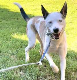 Kacy - Happy Go Lucky Girl! photo 3