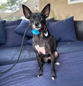 Photo of Princess Plugra