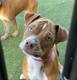 Photo of Indigo Rayne