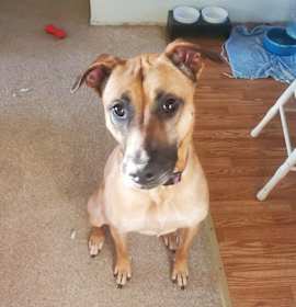 Photo of Gwen (Paloma/Olive)