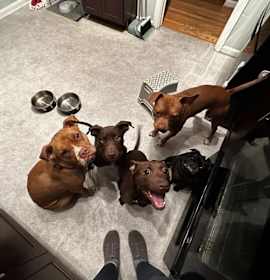 Photo of Get Dat Weenie