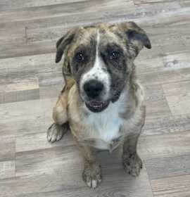 Photo of Jerry/Jersey