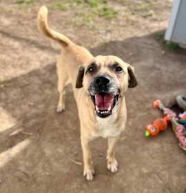 Photo of 91771 Sammy