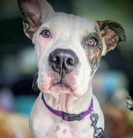 Photo of Beasley Ann