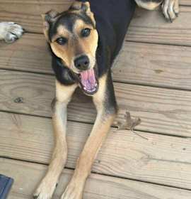 Photo of A stinkin' cute Tuna!