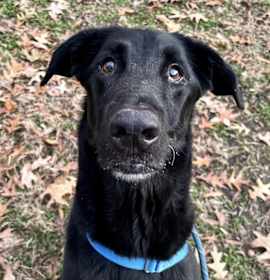 Photo of Anito Burrito