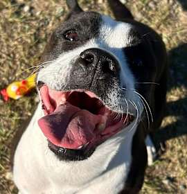 Photo of NUTMEG/URGENT