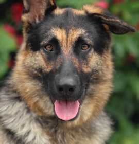 Photo of Gabi von Garmisch