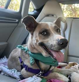 Photo of Alexis Rose