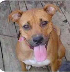 Photo of Pretty Lady